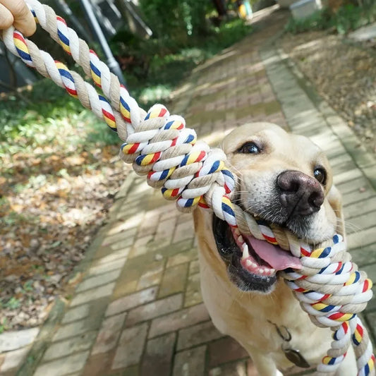 Dog Bite XL Rope (60CM)