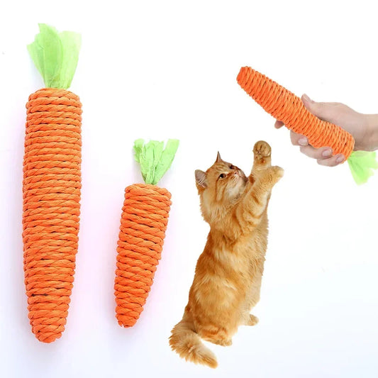 Carrot Toy