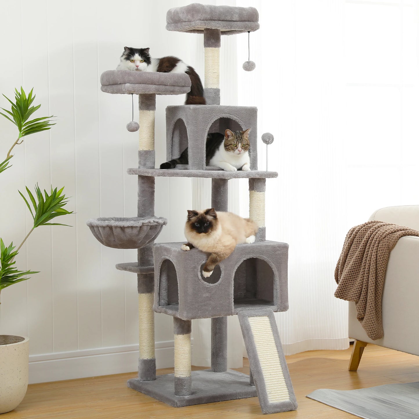 Multi Cat Condo